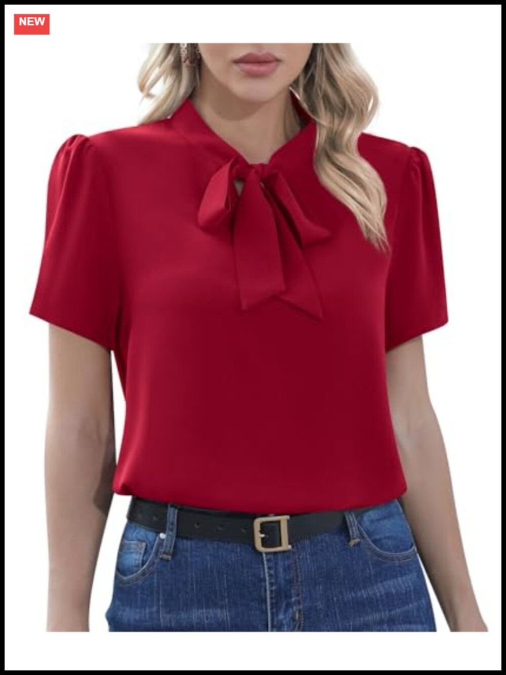 Women's Chiffon Blouse Short Sleeve Tie Neck Business Work Top